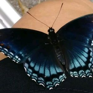 Meet your Posher, Tonia